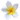 プルメリア